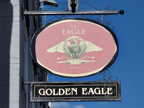 Golden Eagle